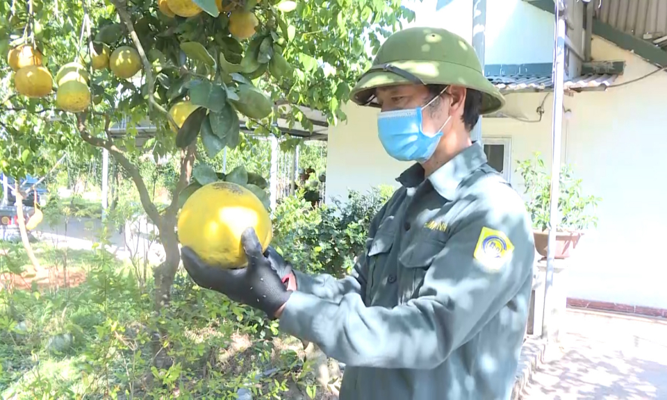 Những “phú ông” của làng