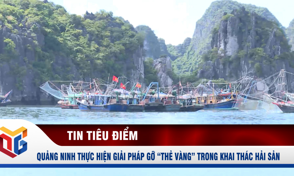 Quảng Ninh thực hiện các giải pháp gỡ “thẻ vàng” trong khai thác hải sản