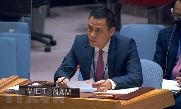 Vietnam ready to make substantive contributions to UN development forums: Ambassador