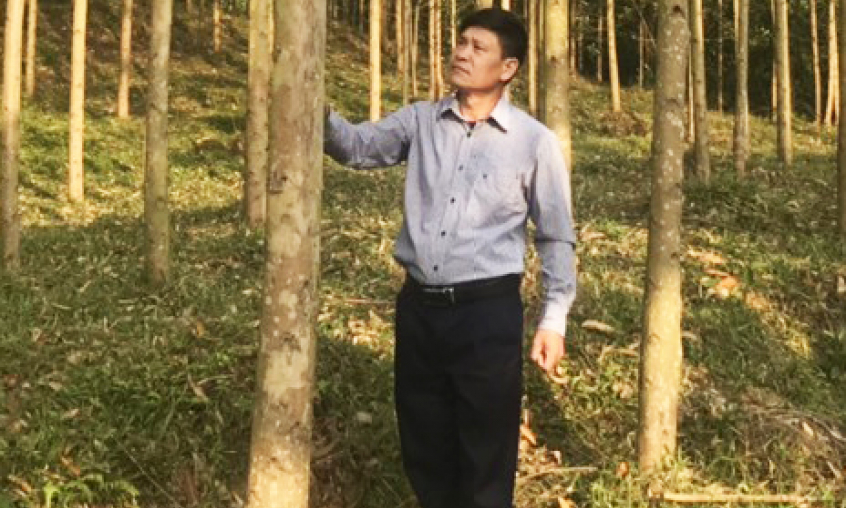 Phát huy giá trị đất rừng để làm giàu