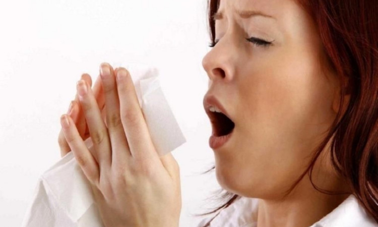 Vì sao người bị viêm mũi dị ứng không nên ăn hải sản?