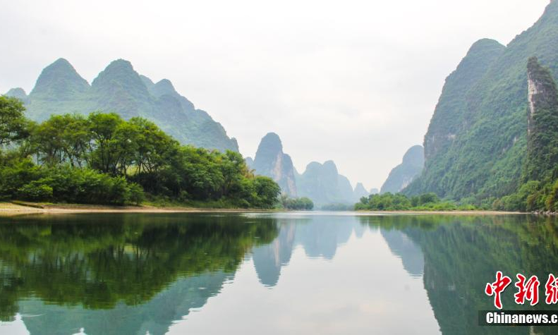 广西桂林：漓江生态美 白鹭飞