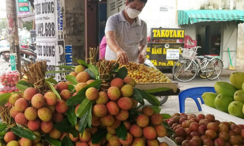 Vải chín sớm 130.000 đồng một kg