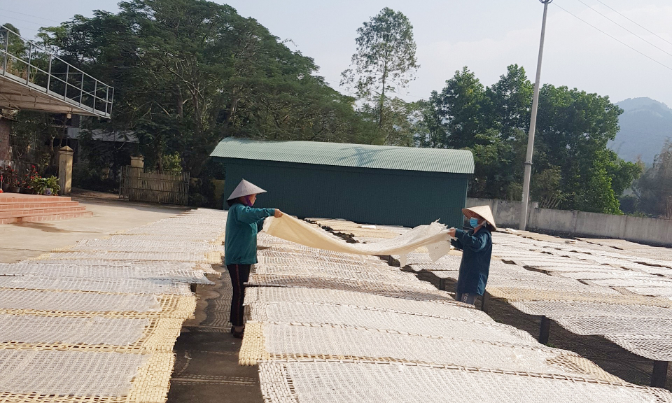 Bình Liêu: Cơ cấu lại hoạt động sản xuất nông, lâm nghiệp