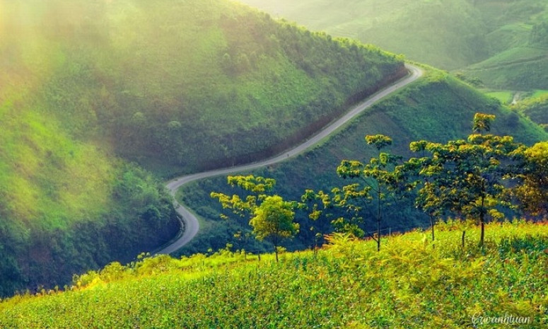 Ngẩn ngơ thiên đường xanh Hà Giang khi mùa hè đến