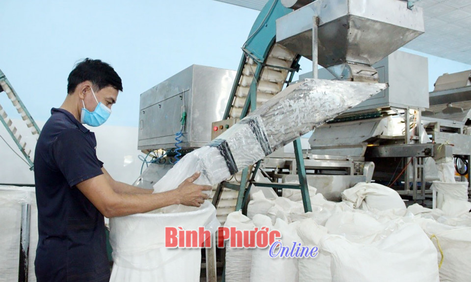 Doanh nghiệp chuyển mình trước thách thức kinh tế số