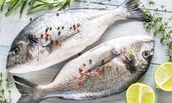 Muốn có sức khỏe và trí nhớ tốt, hãy ăn cá