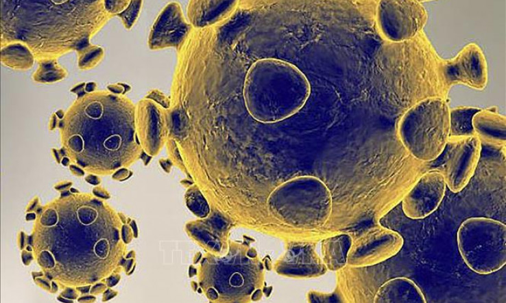 Mắc COVID-19 có thể tạo miễn dịch tương tự như tiêm vaccine công nghệ mRNA