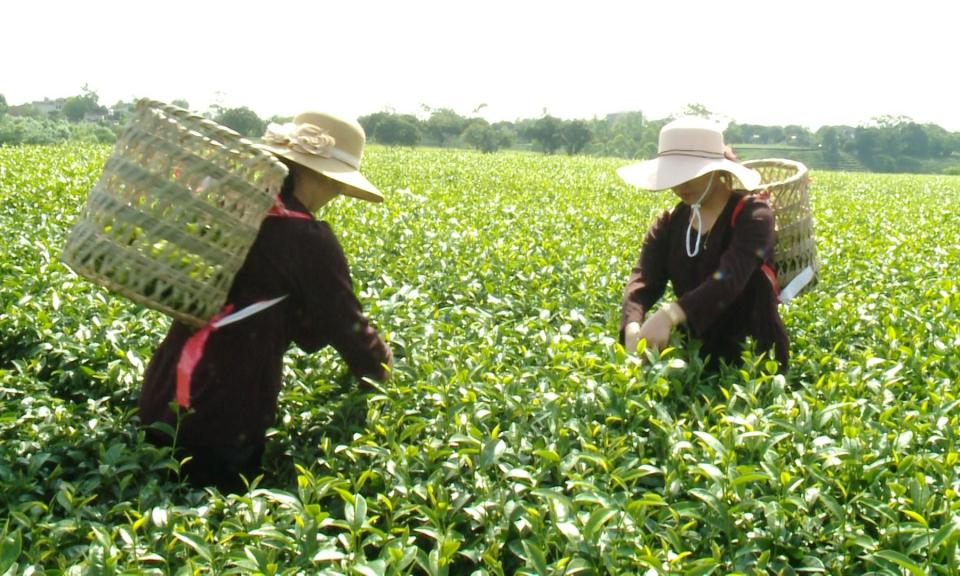 Quan tâm đầu tư cho vùng đồng bào dân tộc thiểu số