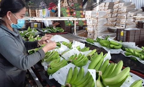 Vietnam strives for export growth rate of 5-6 percent in 2021-2030