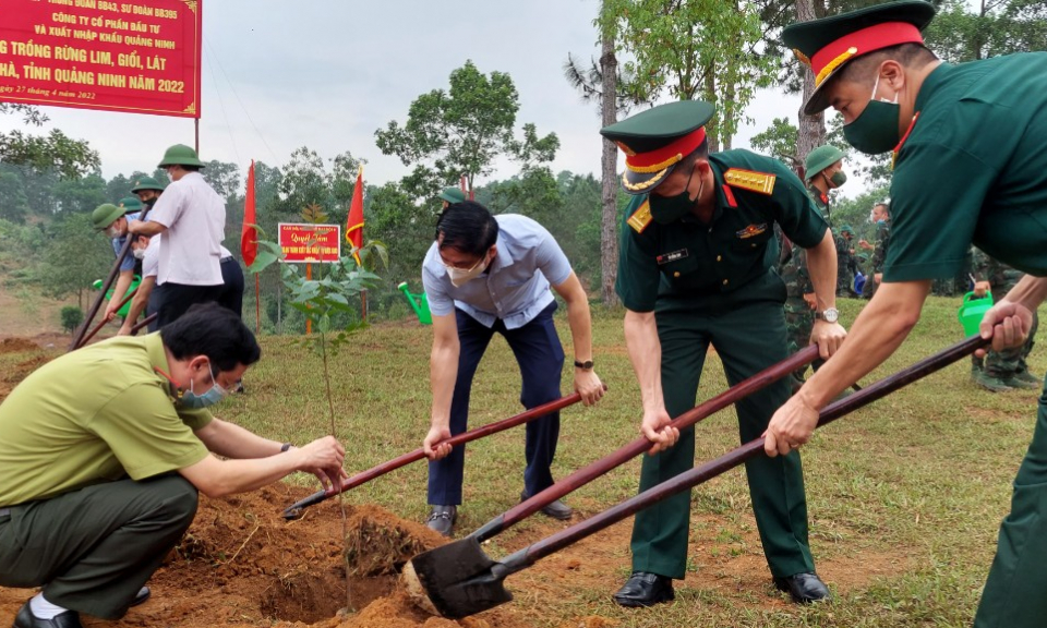 Hải Hà: Phát động trồng rừng gỗ lớn