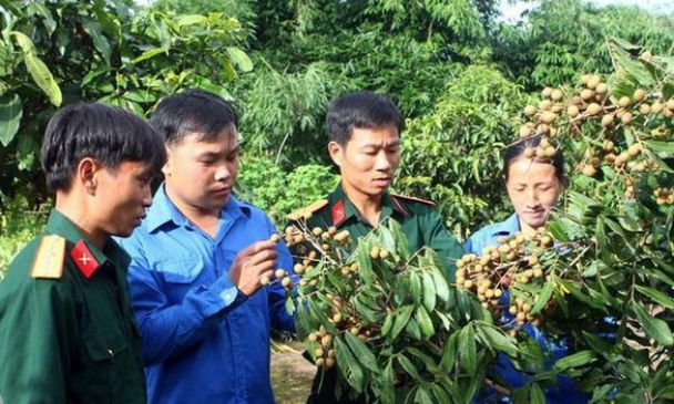 Trí thức trẻ tình nguyện hưởng chính sách ưu đãi thế nào?