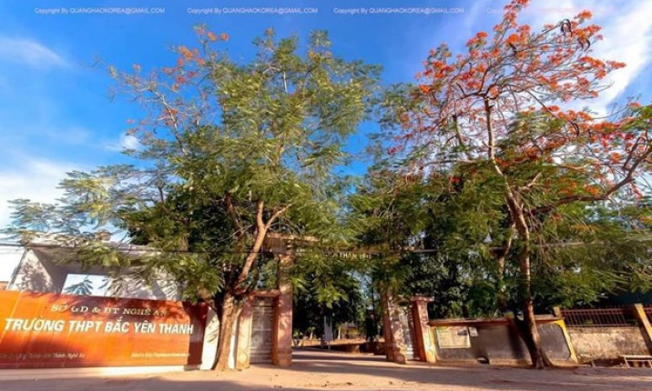 Chỉ đạo xử lý vụ thầy giáo tát học sinh thủng màng nhĩ