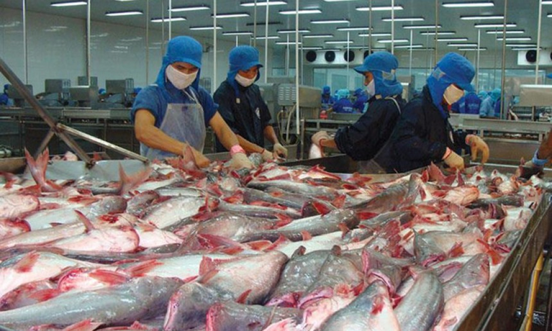 Xuất khẩu thủy sản lập kỷ lục, doanh nghiệp lãi khủng thế nào?