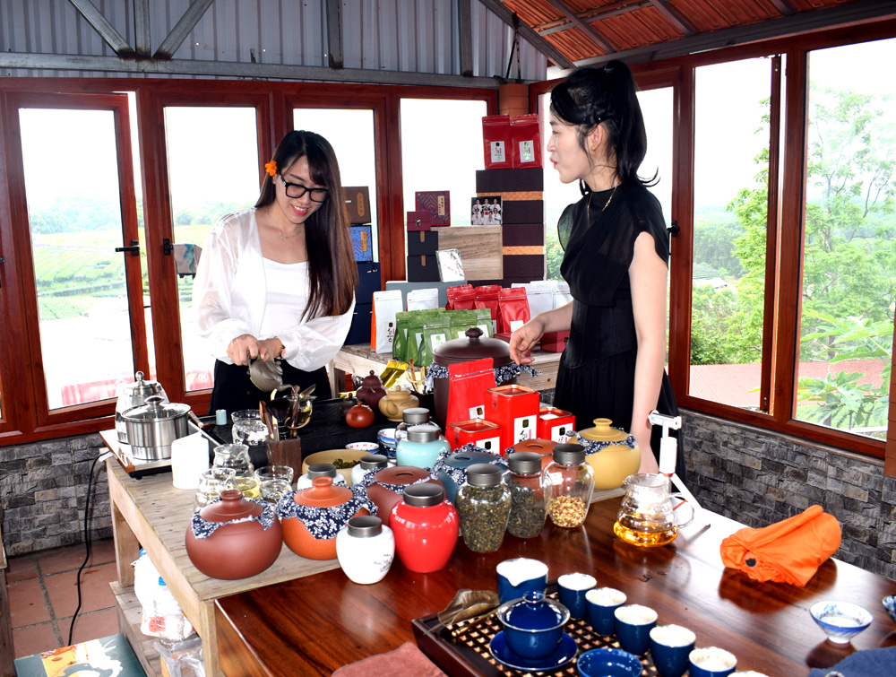 Du khách được uống trà và trải nghiệm cách pha trà từ hơn chục loại trà khác nhau