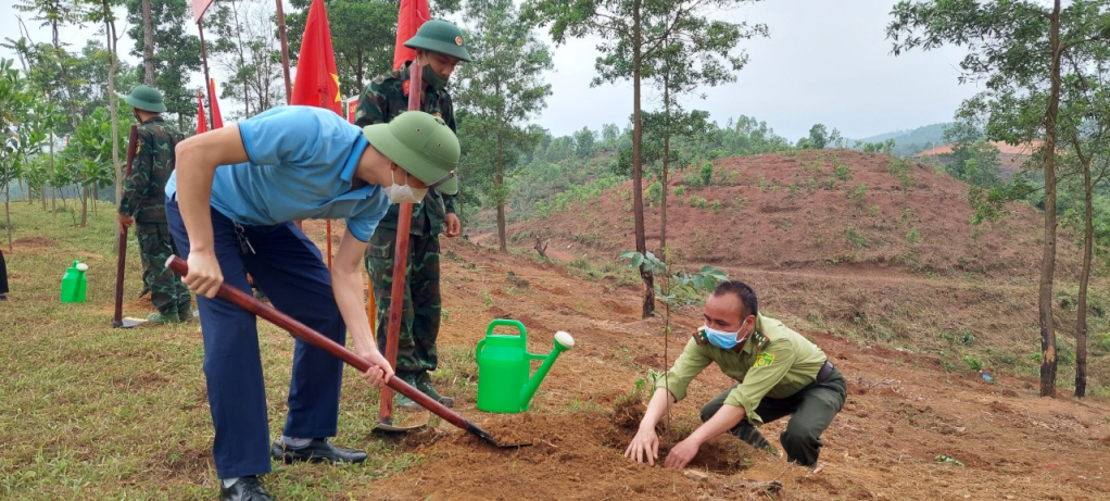 Ngày 27/4, huyện Hải Hà phối hợp với Sở NN&PTNT, Trung đoàn 43 (Sư đoàn 395) trồng 30 ha cây giổi.