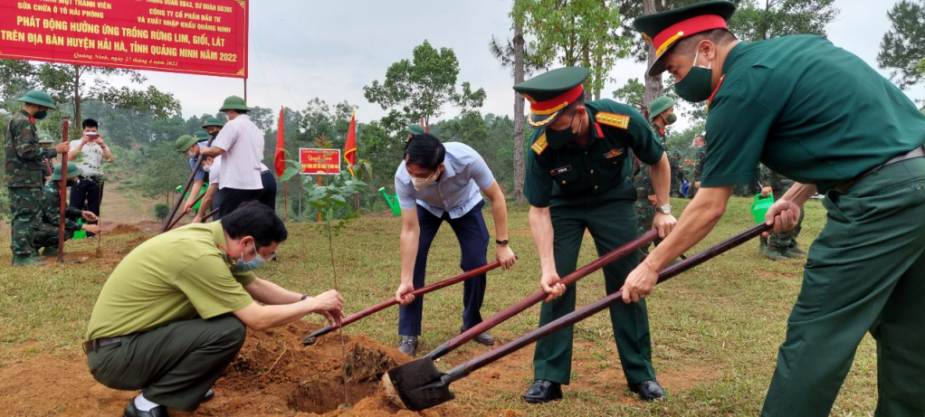 Đến thời điểm này, toàn tỉnh trồng