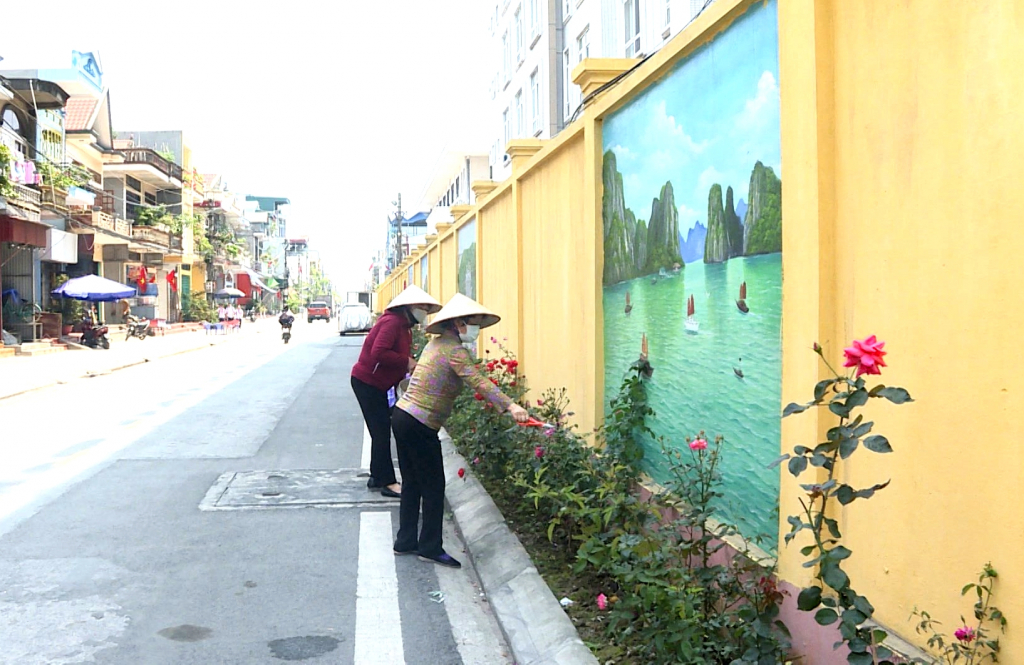Phụ nữ khu phố Cao Sơn 1, phường Cẩm Sơn, TP Cẩm Phả chăm sóc tuyến đường hoa hồng.