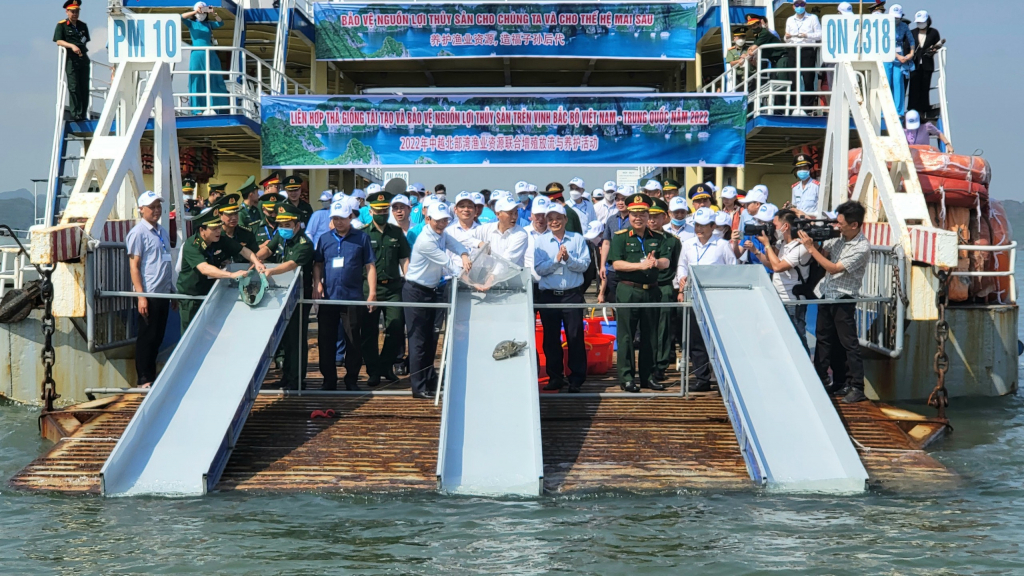 Participants released over 8 million fish fingerlings into the Gulf of Tonkin.