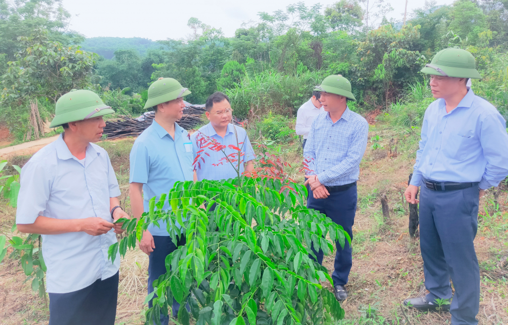 Đoàn công tác giám sát việc thực hiện chính sách hỗ trợ trồng rừng gỗ lớn theo Nghị quyết 337/NQ-HĐND của HĐND tỉnh tại xã Thanh Sơn