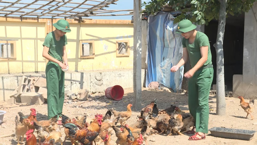 Hoạt động tăng gia sản xuất ở Đồn Cẩm Phả đã góp phân nâng cao sức khỏe cho bộ đội