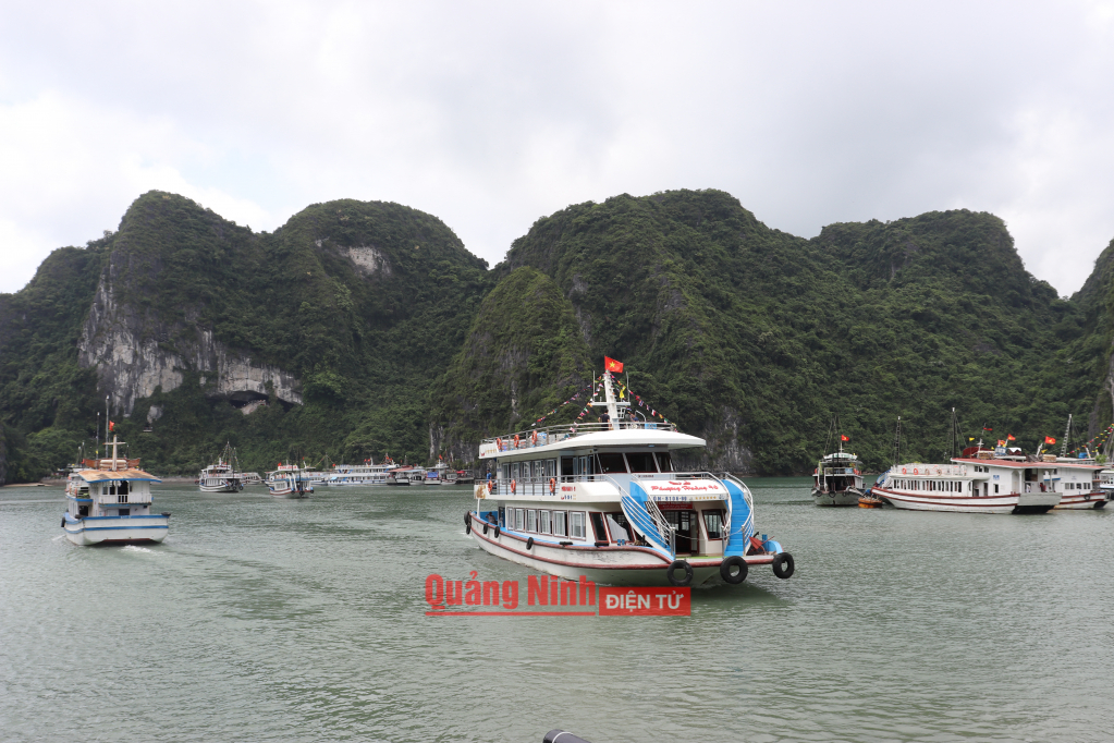 Vào ngày cuối tuần, các tàu phải chạy hết công suất, trung bình 2 chuyến/ngày để đáp ứng nhu cầu tham quan của du khách.