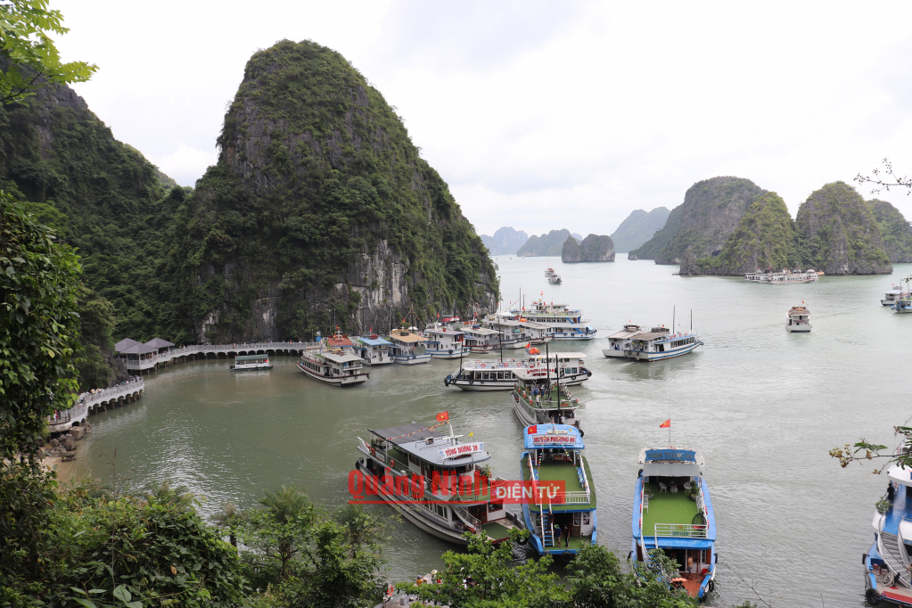 Vịnh Hạ Long nhìn từ trên hang Sửng Sốt.