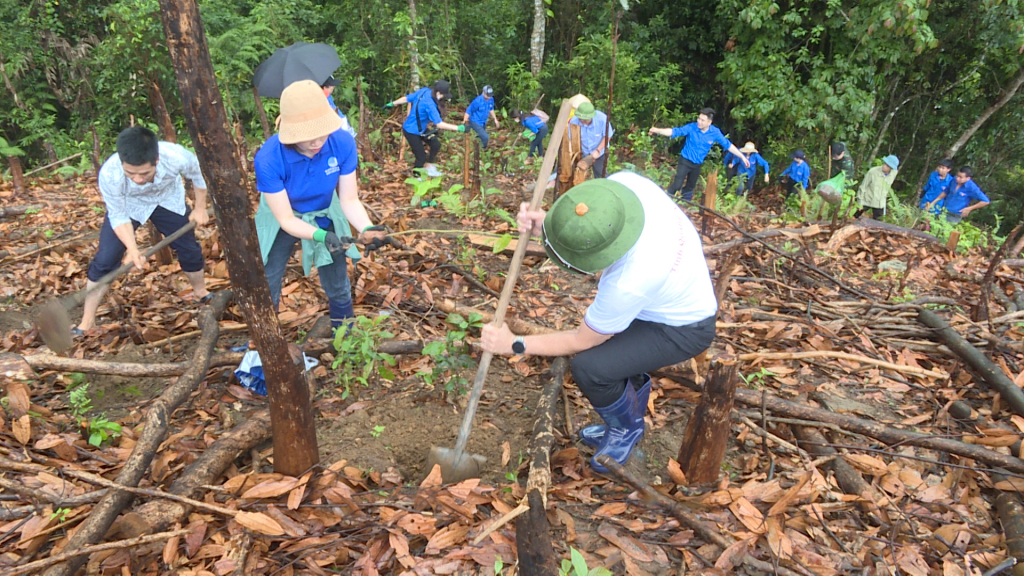 Cán bộ, công chức, Đoàn viên Đoàn Thanh niên cơ quan Văn phòng UBND tỉnh tham gia trồng rừng gỗ lớn tại chân thác Bạch Vân, Thôn Tầm Làng, xã Quảng An.
