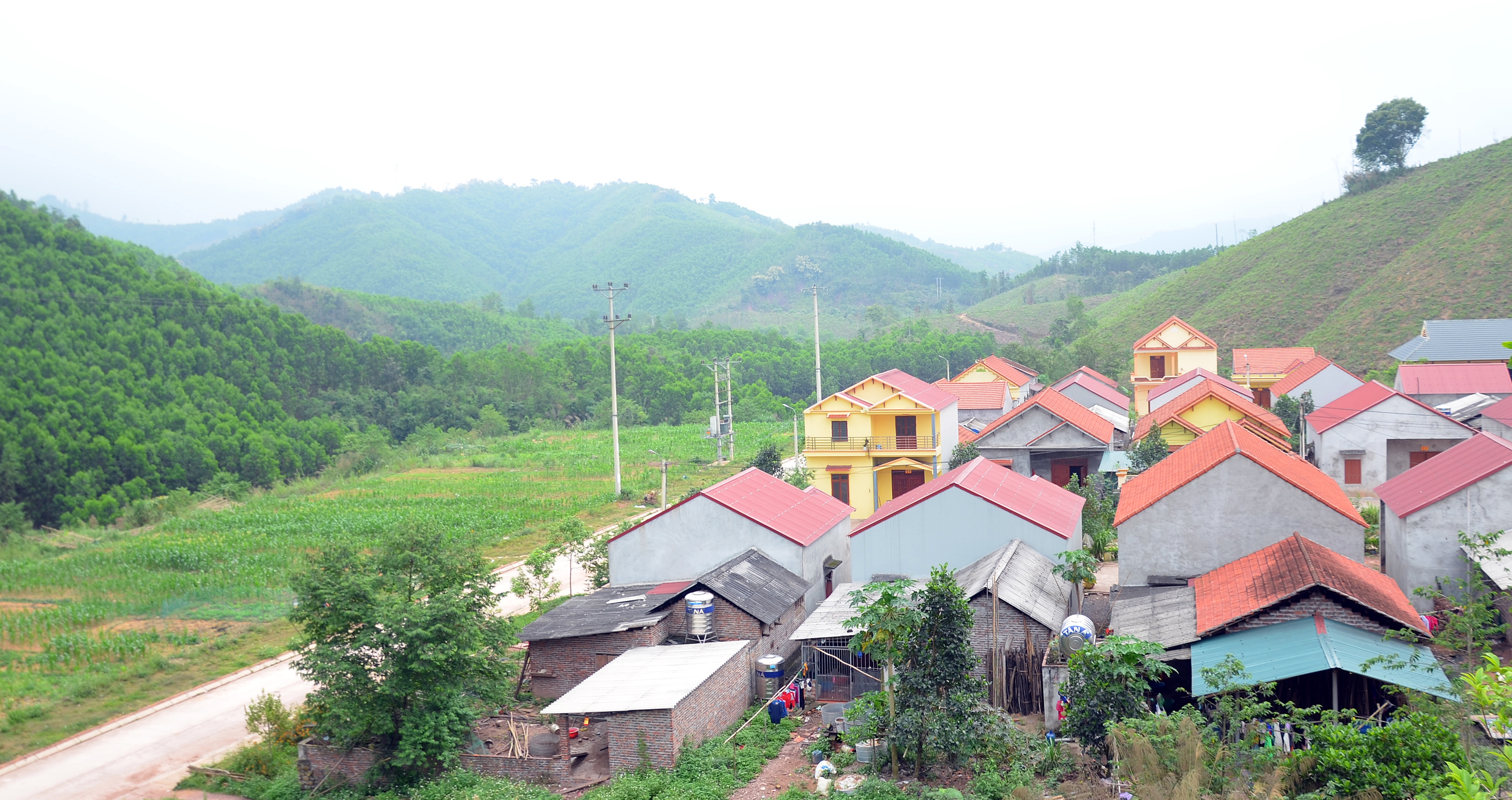 Ảnh trong văn bản