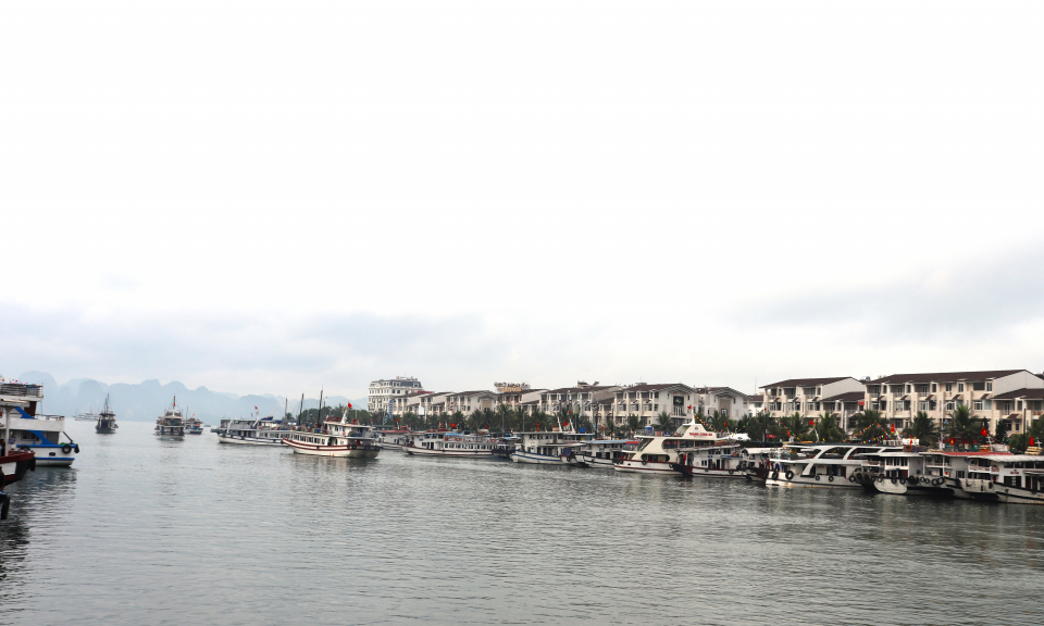 Tàu tham quan vịnh Hạ Long hoạt động bình thường