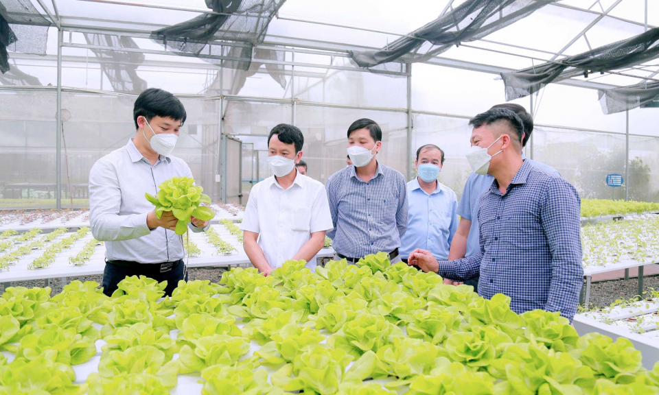  Nông nghiệp Đông Triều: Nắm bắt cơ hội chuyển đổi số