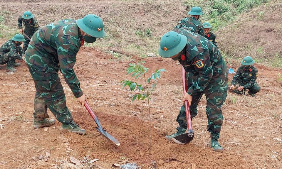 Phấn đấu trồng tối thiểu 2.000ha rừng cây bản địa, các loài lim, giổi, lát