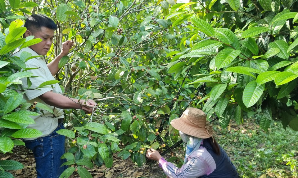 Chuyện xóa nghèo ở Đồn Đạc