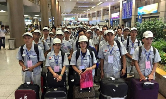 Tiếp tục thí điểm đưa người lao động đi làm việc thời vụ tại Hàn Quốc