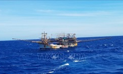 Đưa ngư dân từ Trường Sa vào đất liền điều trị kịp thời