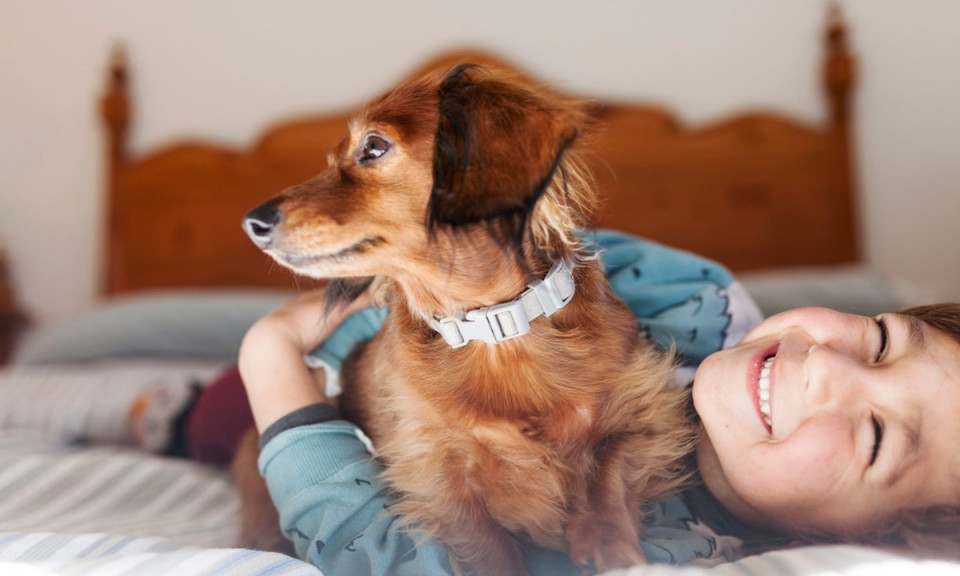 Phát hiện mới về nguyên nhân gây viêm gan bí ẩn