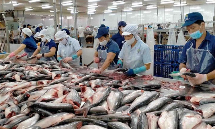 Xuất khẩu thủy sản tăng mạnh