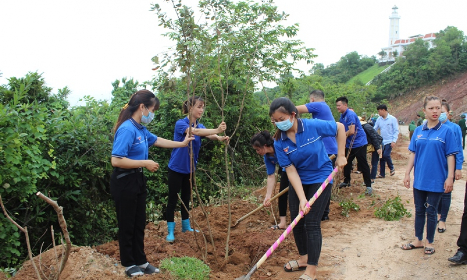 Móng Cái: Hiệu quả từ cơ chế đặt hàng Cơ quan Khối