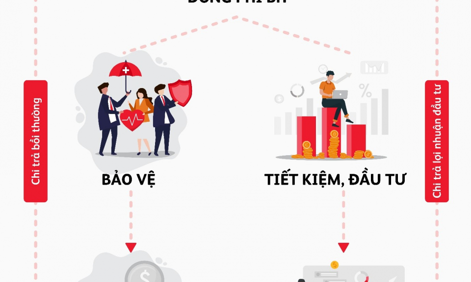 Câu chuyện lãi hay lỗ trong bảo hiểm nhân thọ