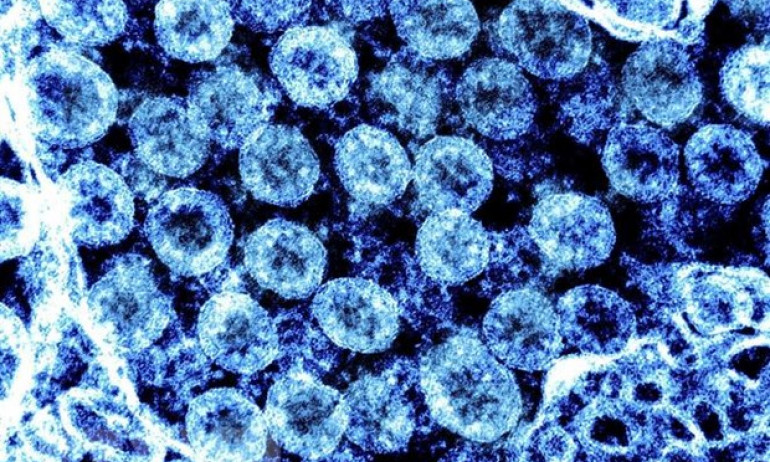 Người nhiễm Omicron ít bị nhiễm biến thể khác nếu đã tiêm vaccine