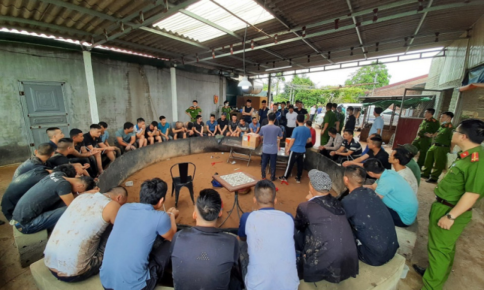 Đột kích trường gà "núp bóng" trang trại