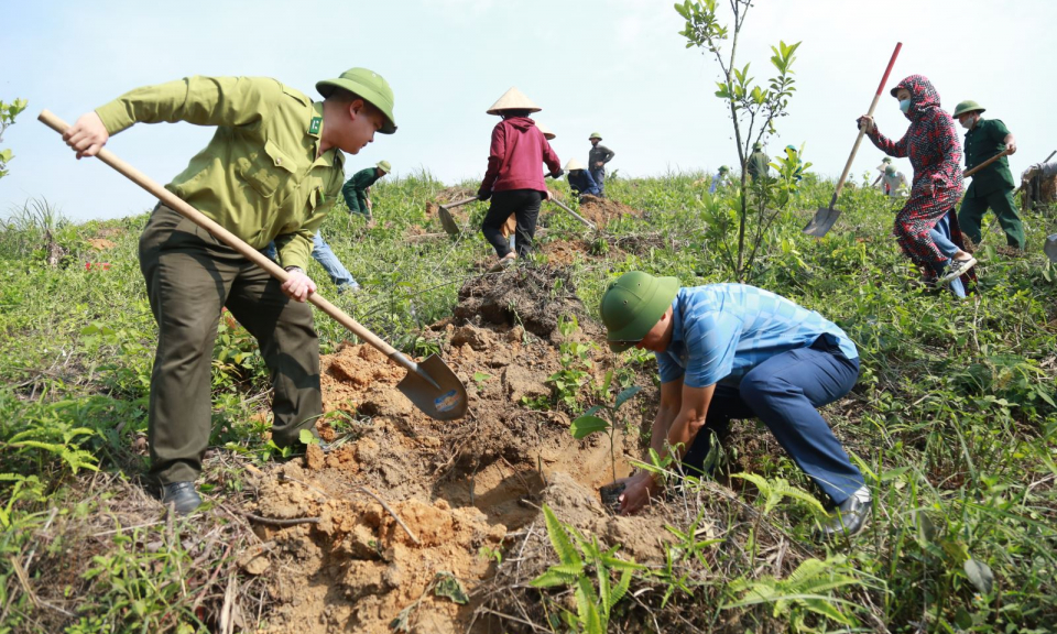 Cho những cánh rừng mãi xanh 