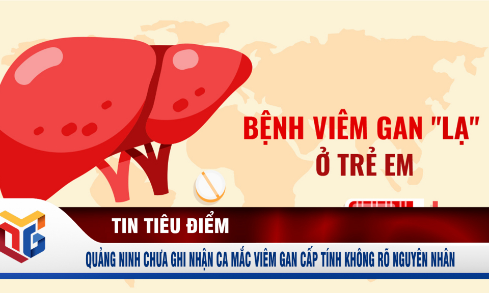 Quảng Ninh chưa ghi nhận ca mắc viêm gan cấp tính không rõ nguyên nhân