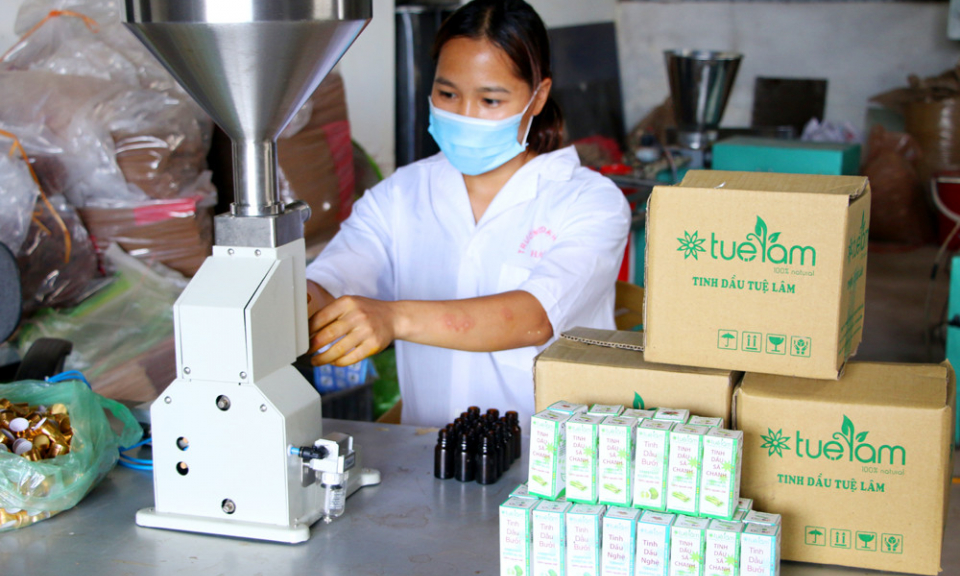 Chuyển đổi số - Xu hướng tất yếu để HTX phát triển bền vững