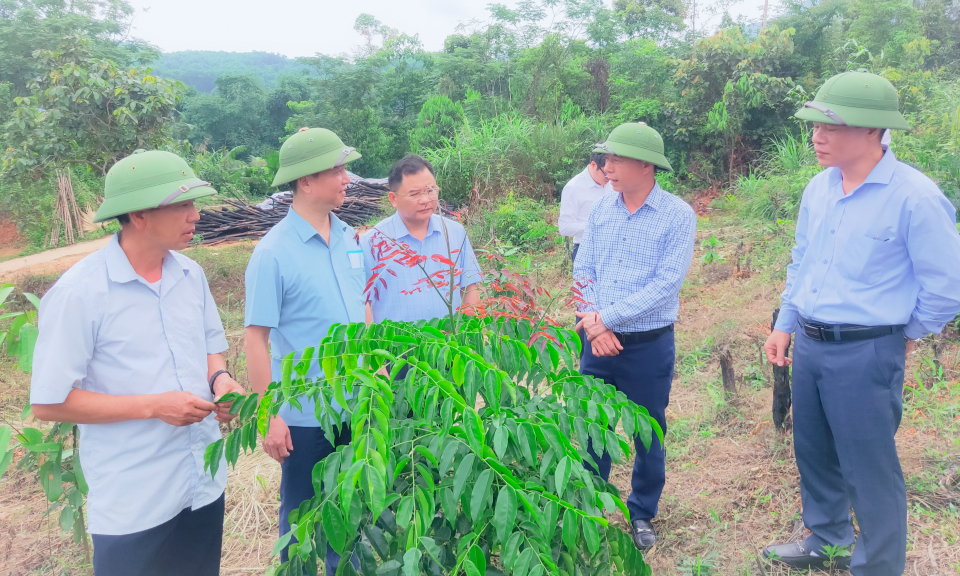 HĐND tỉnh giám sát tại huyện Ba Chẽ và Tiên Yên