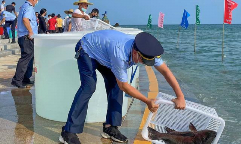 中越双方共同向北部湾放流苗种近6400万尾