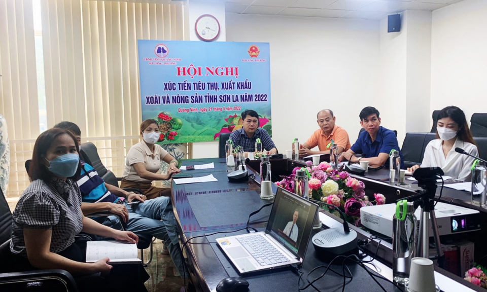 Xúc tiến tiêu thụ và xuất khẩu xoài, nông sản Sơn La năm 2022