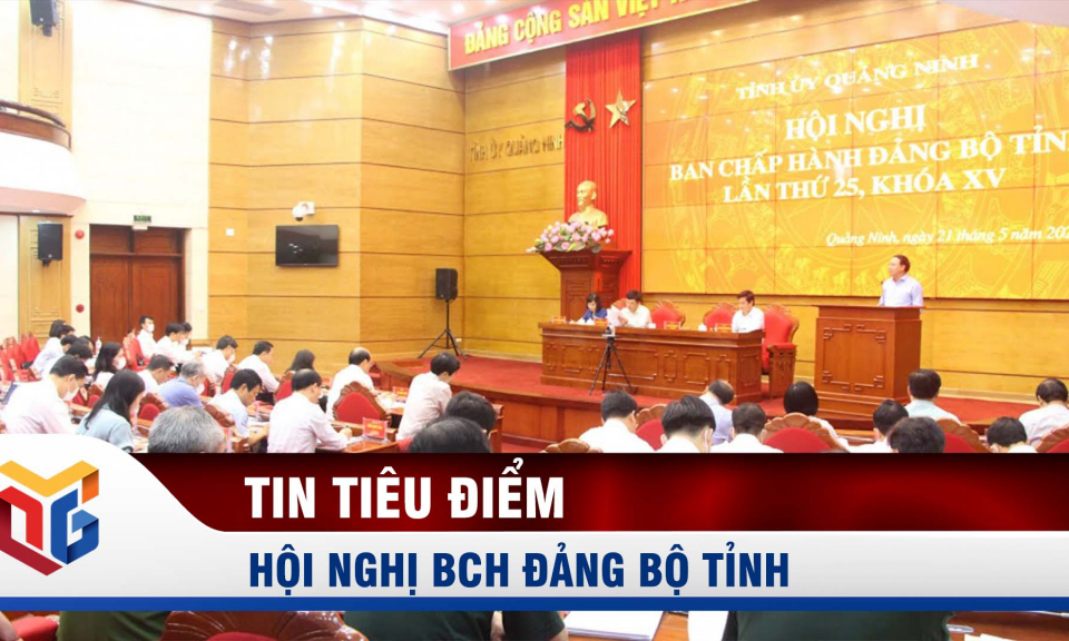 Hội nghị Ban Chấp hành Đảng bộ tỉnh lần thứ 25