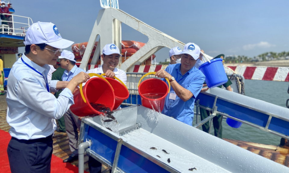 Thả giống tái tạo nguồn lợi thuỷ sản