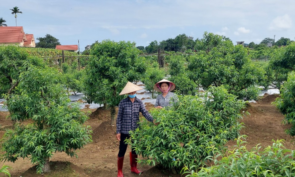 Nữ bí thư chi bộ miệng nói, tay làm